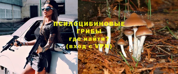 бутират Медвежьегорск