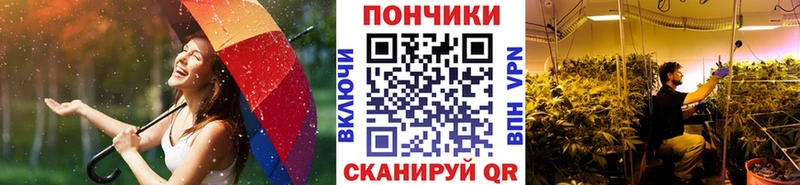 закладки  Дорогобуж  Бошки марихуана Ganja 